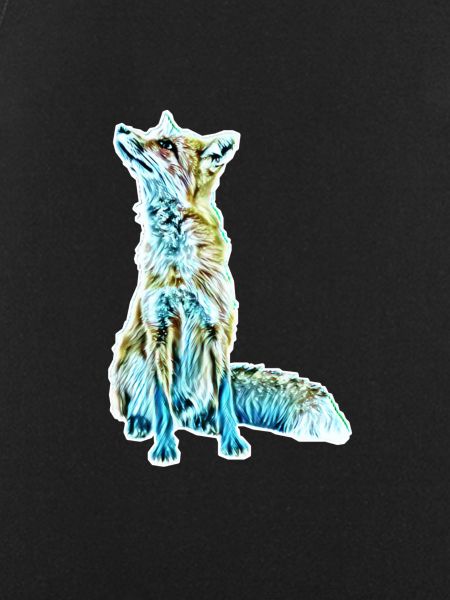 Fuchs