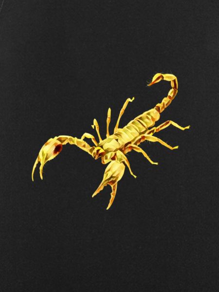 Scorpion