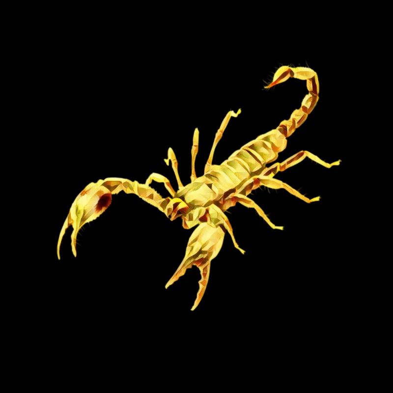 Skorpion