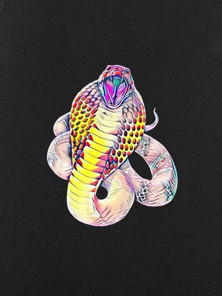 Snake