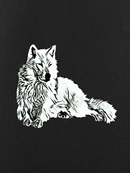 wolf