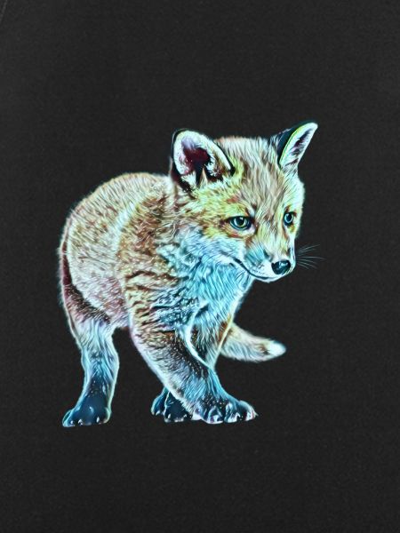 Fox