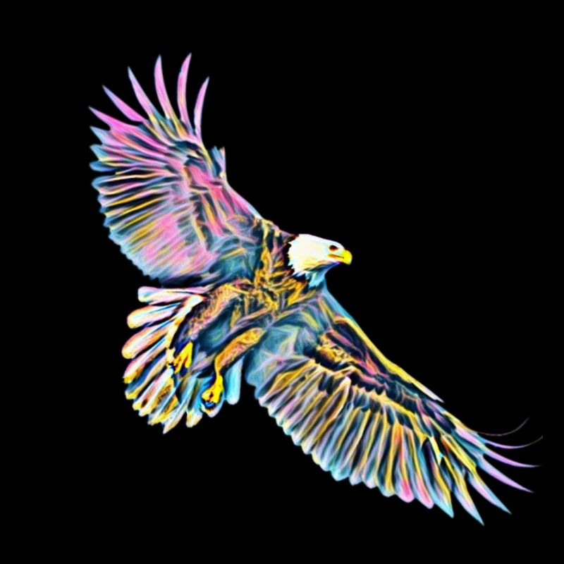 Aigle