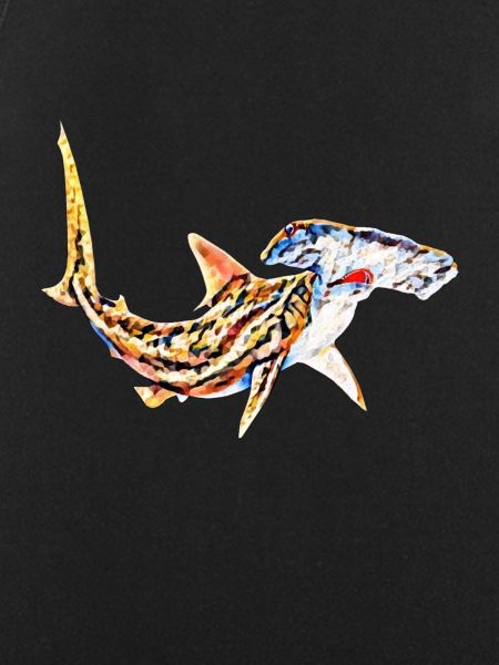 Hammerhead shark