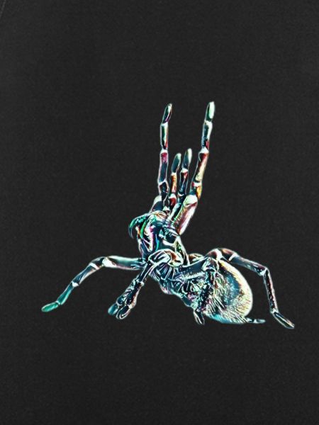 Tarantula