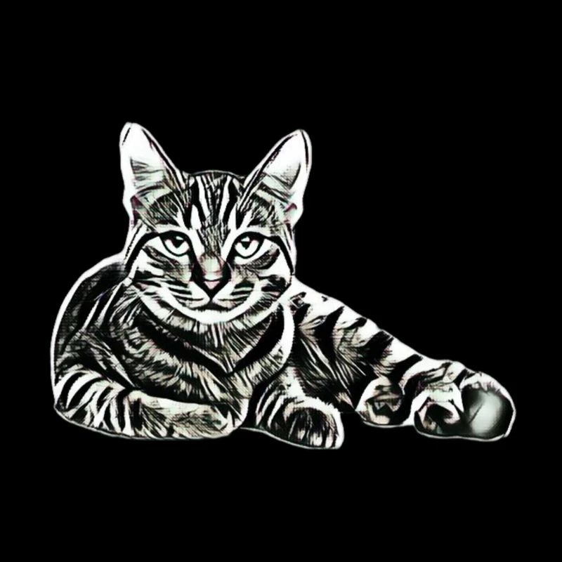 Chat