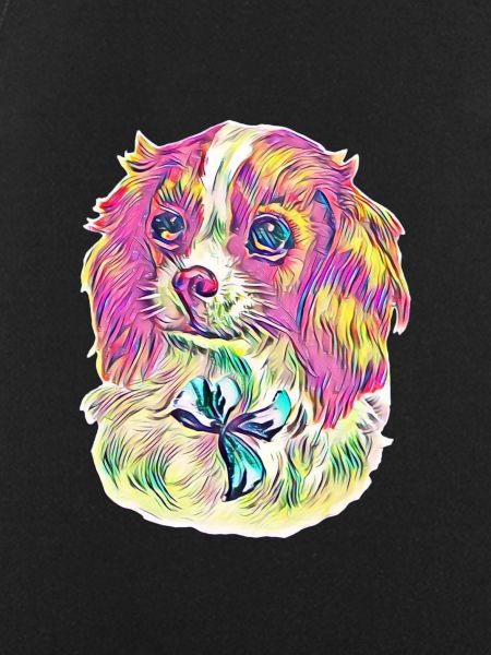 Cavalier King Charles Spaniel