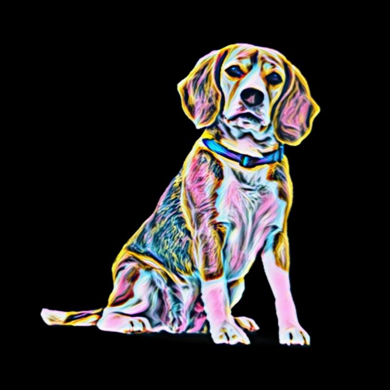 Beagle