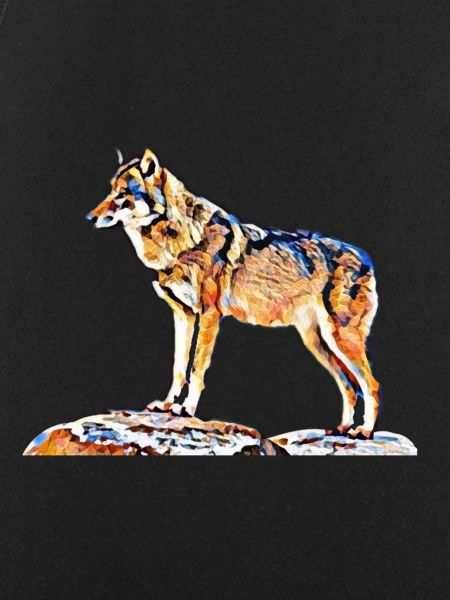 wolf