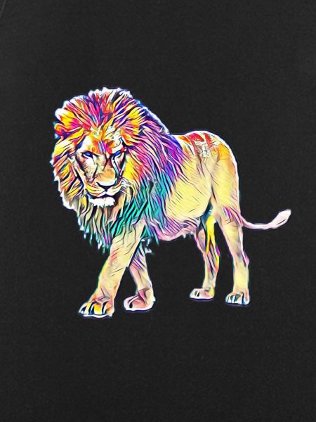 lion