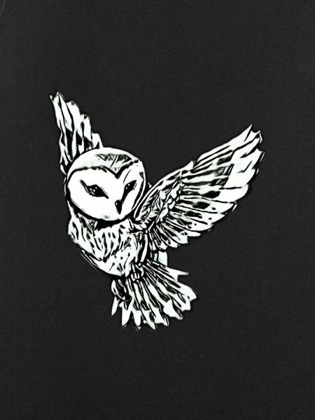 owl