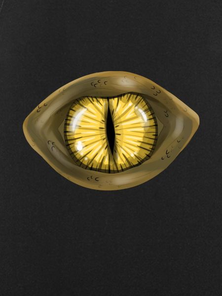 Eye reptile lizard