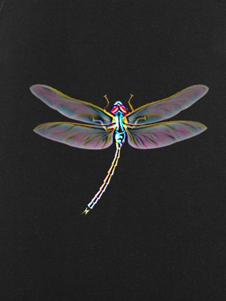 dragon-fly