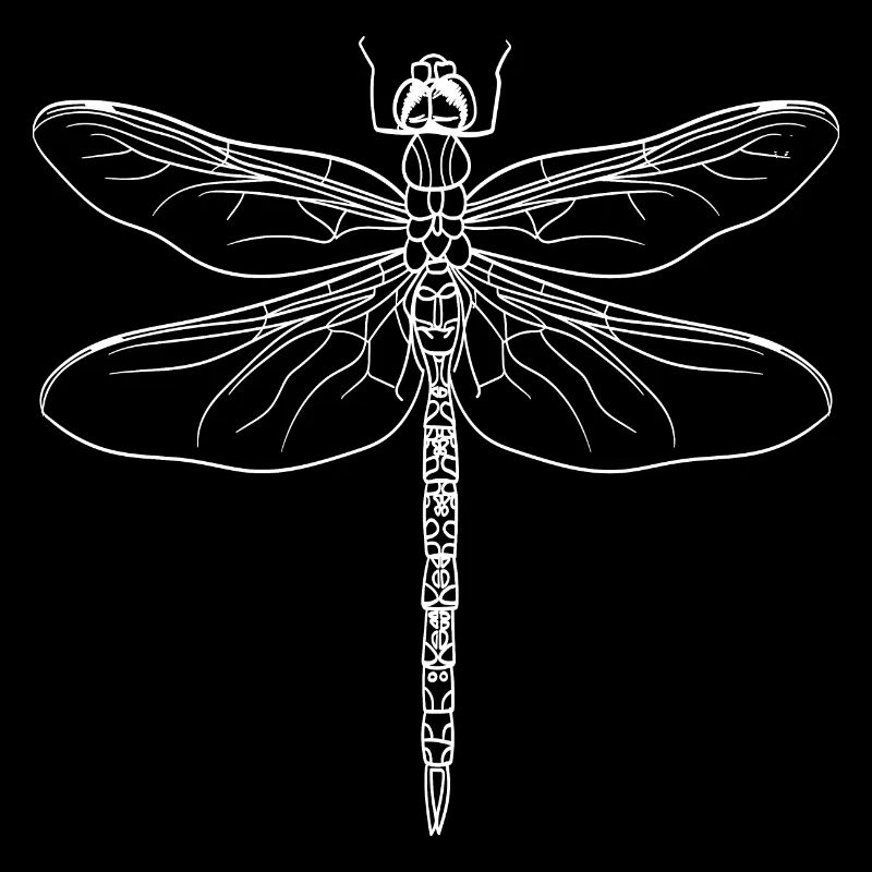 Libellule silhouette blanc