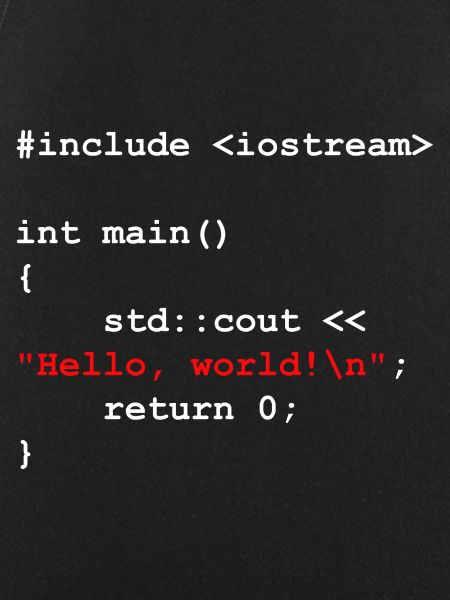 Programmer Coder Software Developer