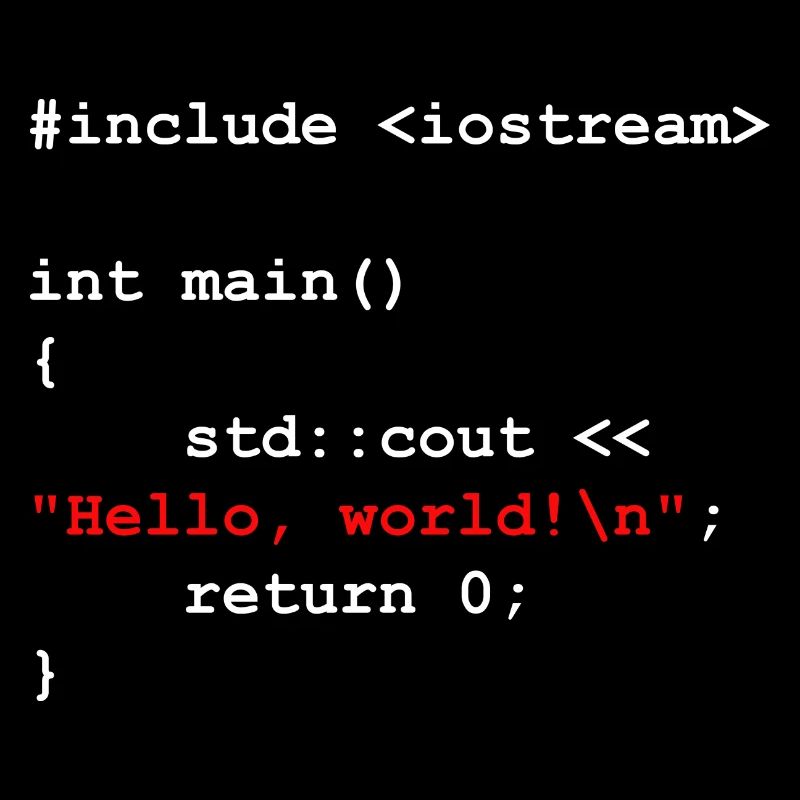 Programmer Coder Software Developer