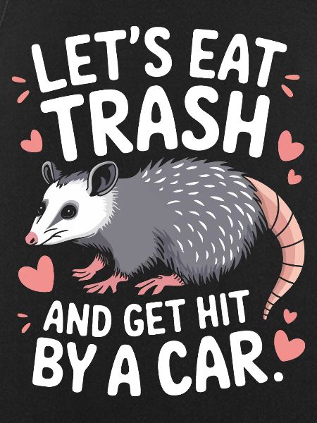 Opossum Possum Animal
