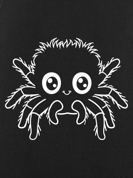 spider