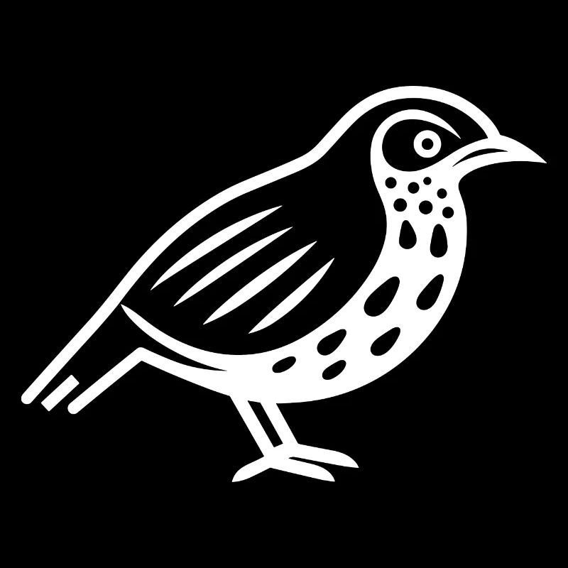 quail small quail bird