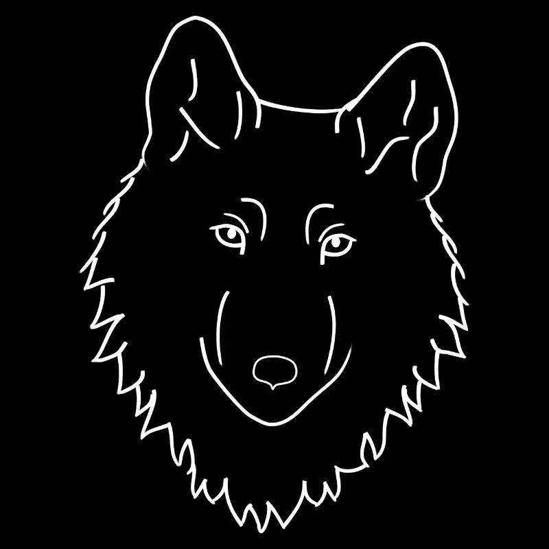 Loup - blanc