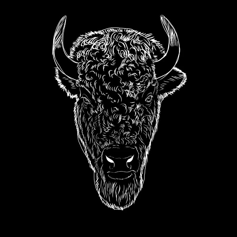 Bison