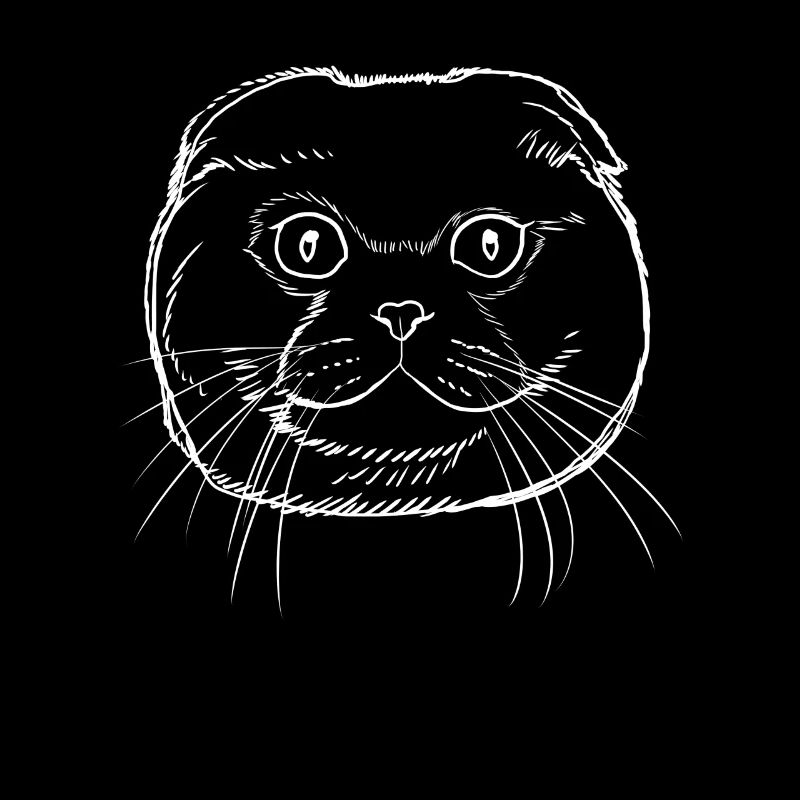 Scottish Fold Katze