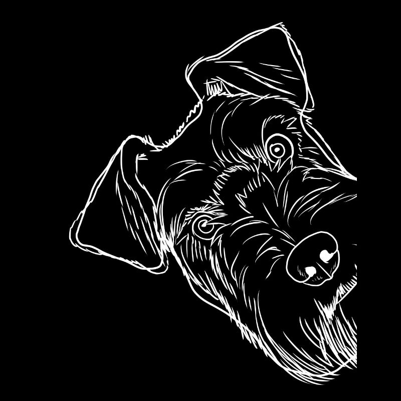 Curious Schnauzer Dog