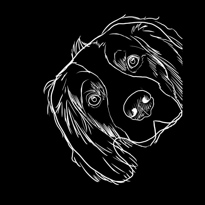 Strokes Welsh Springer Spaniel Dog