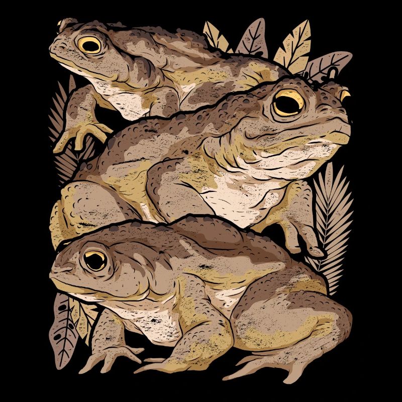 Crapaud grenouille
