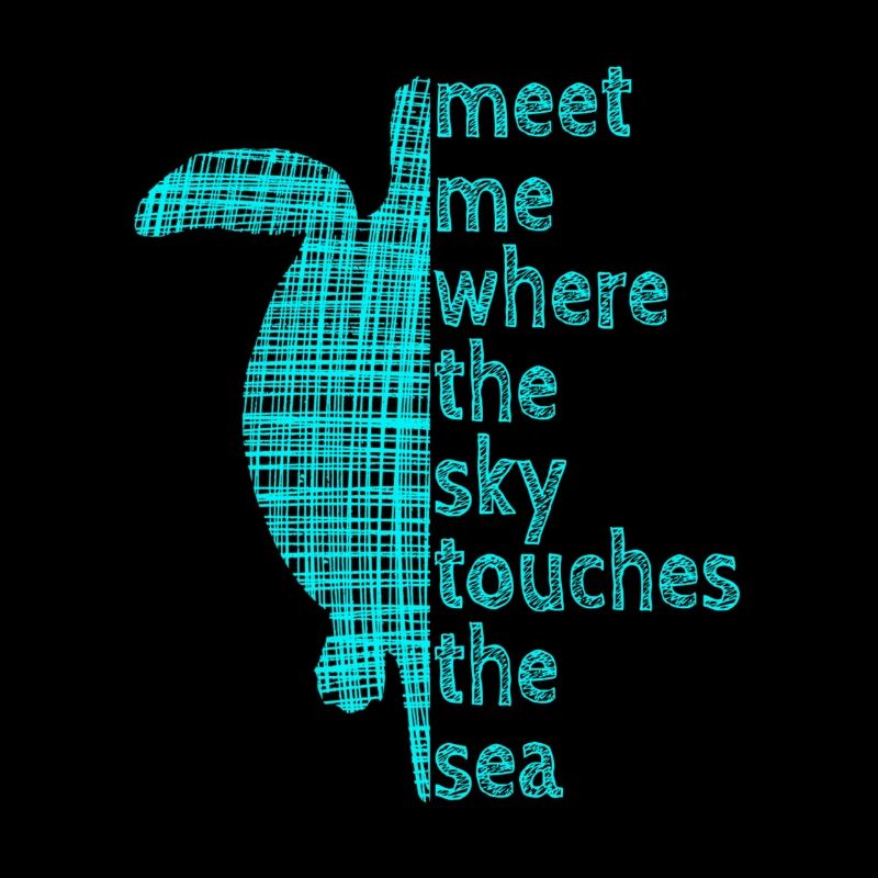 Turtle Schildkröte