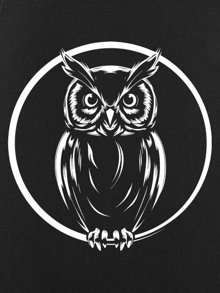 Owl Graphic Owl Graphic