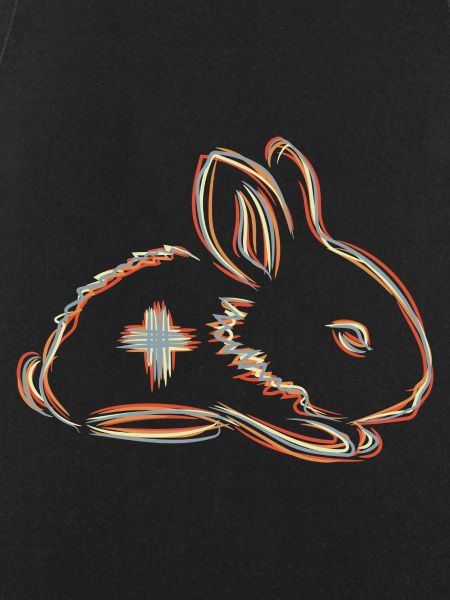 Veterinary Bunny