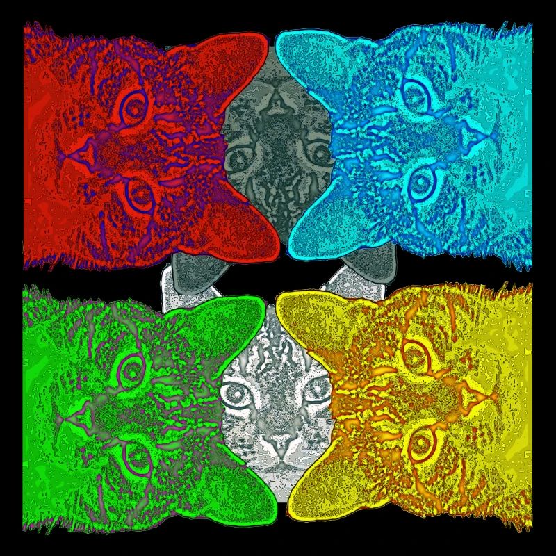 Chats colorés (Pop Art) conçus par HeiArts