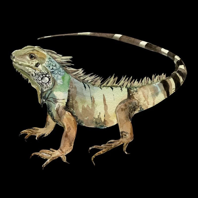 iguana