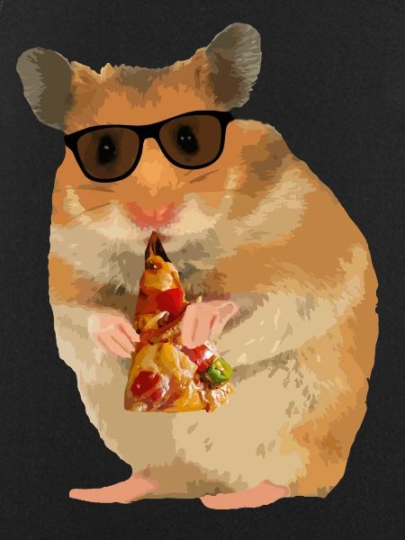 Hamster Pizza Sunglasses