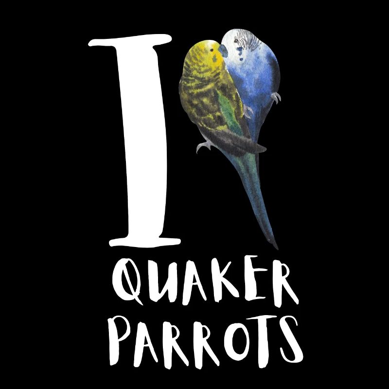 Blue Quaker Parrot Mom