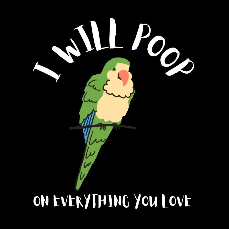 Blue Quaker Parrot Mom