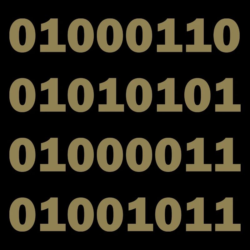 Code binaire Fuck