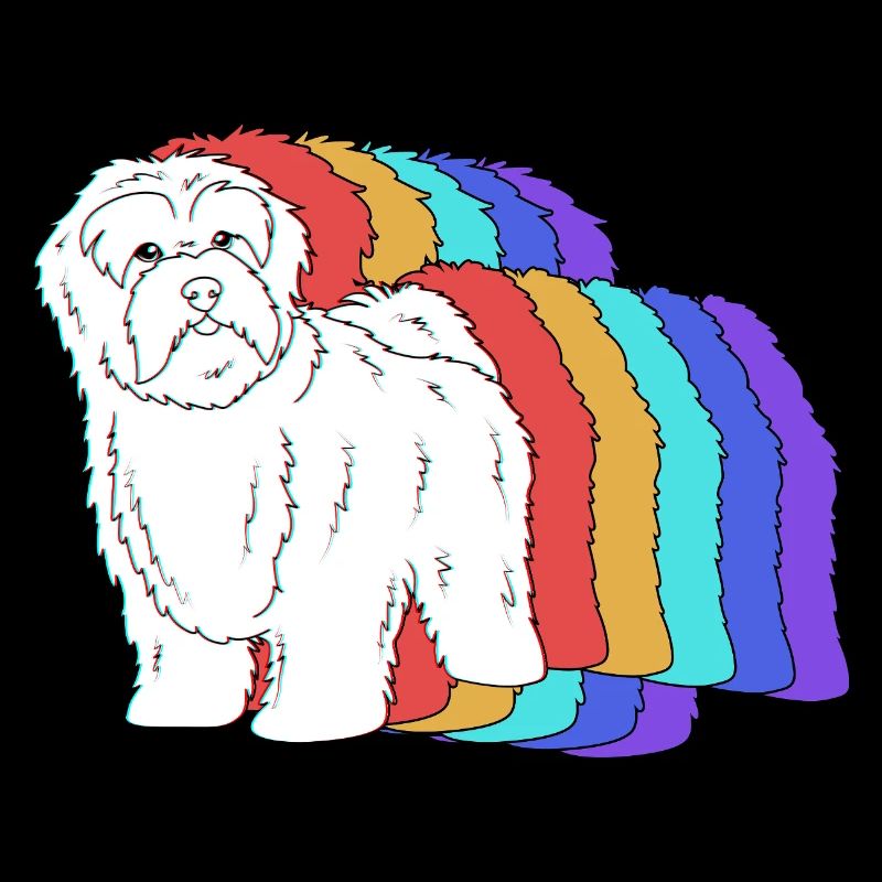 Havanese