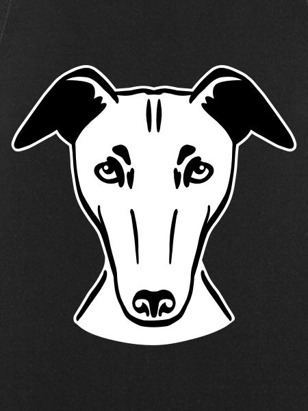 Greyhound