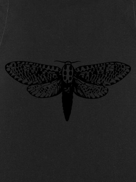 Moth drawing