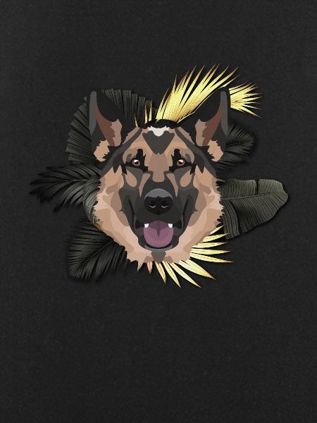 Golden Dog German Shepherd
