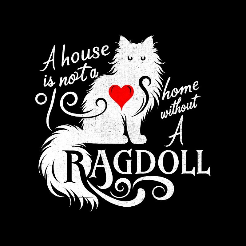 Une maison n’est pas une maison sans un amant de Ragdoll Ragd