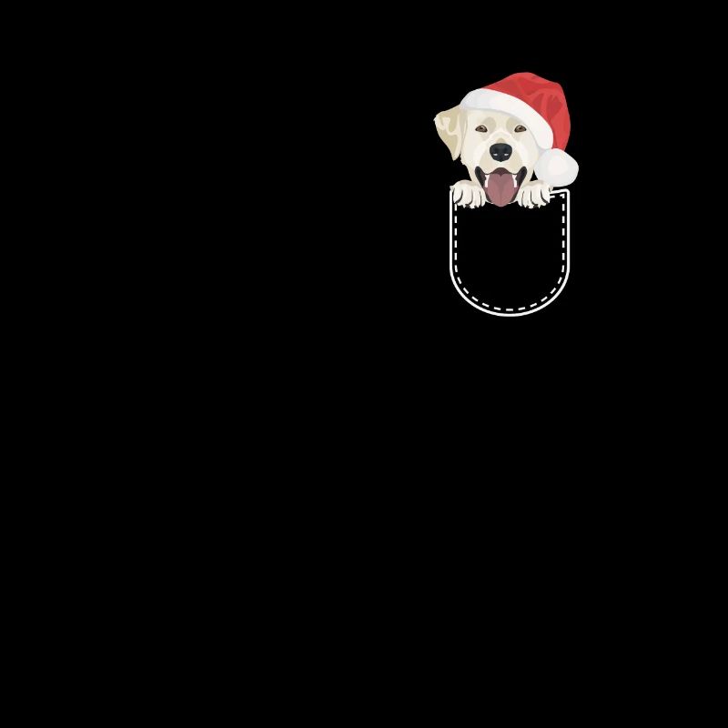 Joyeux Noël Labrador