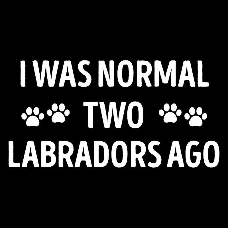 Ich war normal vor zwei Labradoren lustig