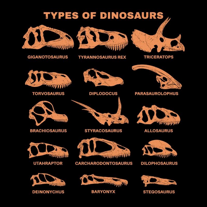 Dinosaurierarten Types of Dinosaurs