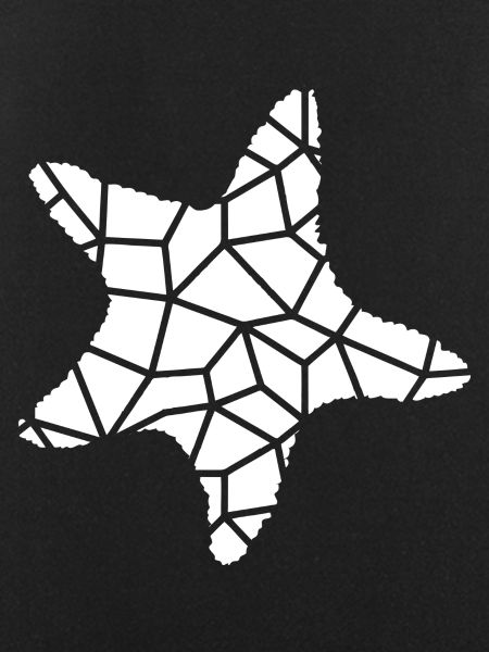 Starfish