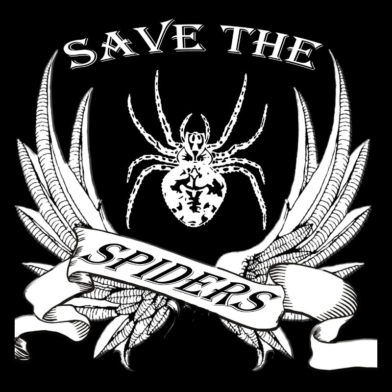 Spinne
