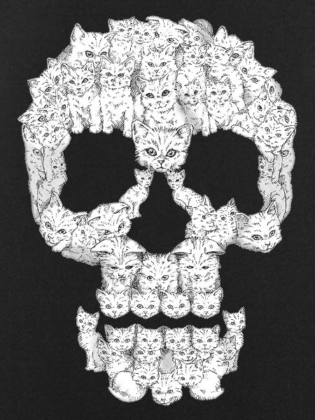 Skull cat Graphic