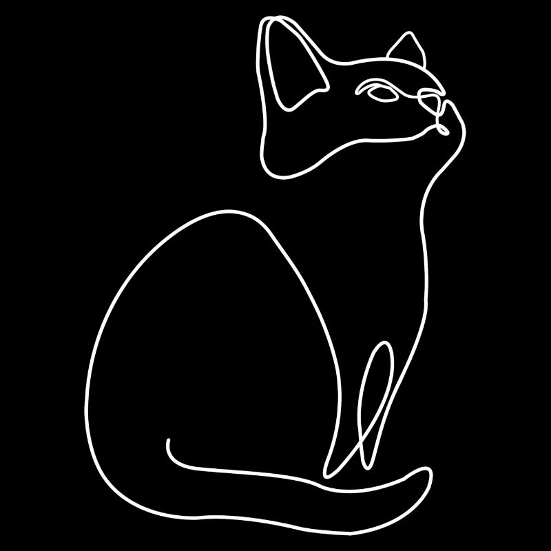 Chaton Chat Chat